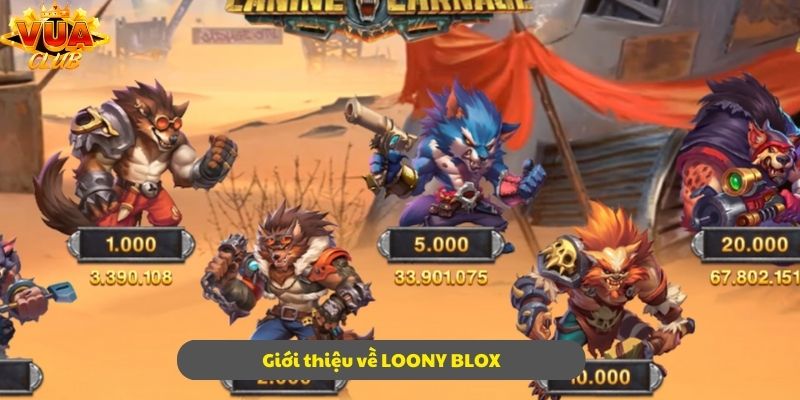 Giới thiệu vài nét khái quát về LOONY BLOX 